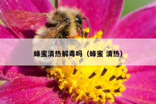 蜂蜜清热解毒吗（蜂蜜 清热）