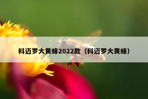 科迈罗大黄蜂2022款（科迈罗大黄蜂）