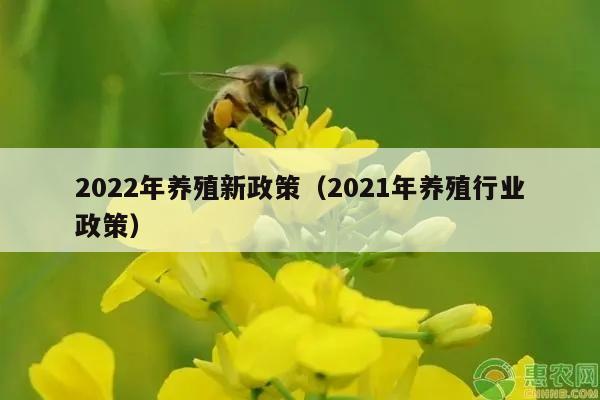 2022年养殖新政策（2021年养殖行业政策）