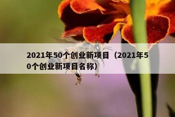 2021年50个创业新项目（2021年50个创业新项目名称）