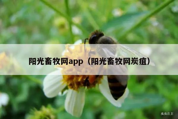 阳光畜牧网app（阳光畜牧网炭疽）