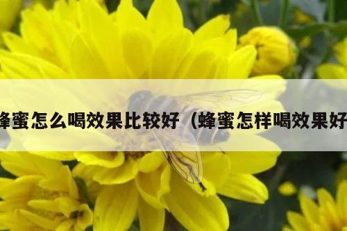 蜂蜜怎么喝效果比较好（蜂蜜怎样喝效果好）