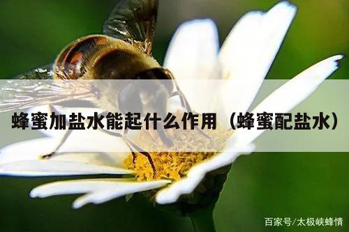 蜂蜜加盐水能起什么作用（蜂蜜配盐水）