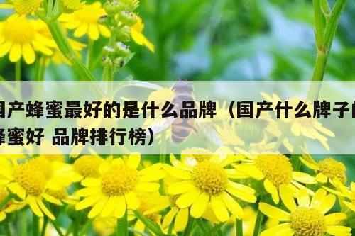 国产蜂蜜最好的是什么品牌（国产什么牌子的蜂蜜好 品牌排行榜）