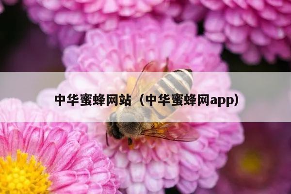 中华蜜蜂网站（中华蜜蜂网app）