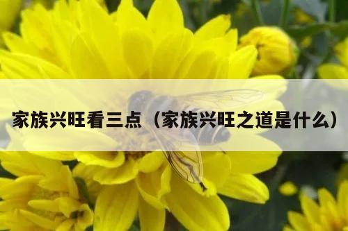 家族兴旺看三点（家族兴旺之道是什么）