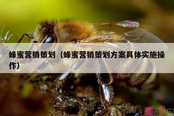 蜂蜜营销策划（蜂蜜营销策划方案具体实施操作）