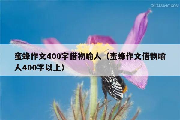 蜜蜂作文400字借物喻人（蜜蜂作文借物喻人400字以上）