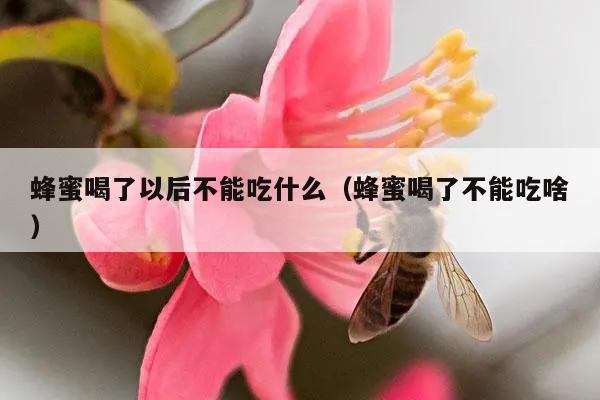 蜂蜜喝了以后不能吃什么（蜂蜜喝了不能吃啥）