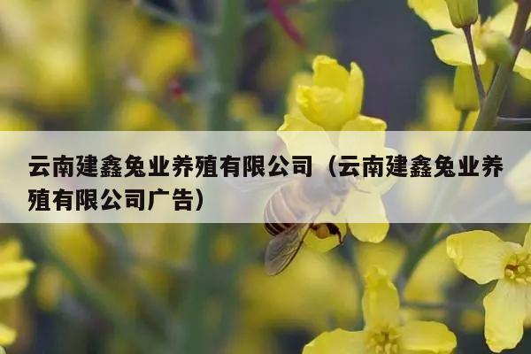 云南建鑫兔业养殖有限公司（云南建鑫兔业养殖有限公司广告）