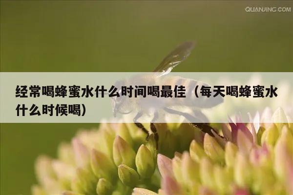 经常喝蜂蜜水什么时间喝最佳（每天喝蜂蜜水什么时候喝）