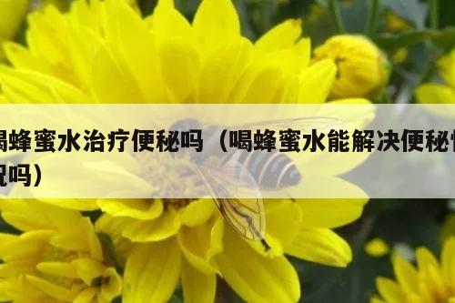 喝蜂蜜水治疗便秘吗（喝蜂蜜水能解决便秘情况吗）