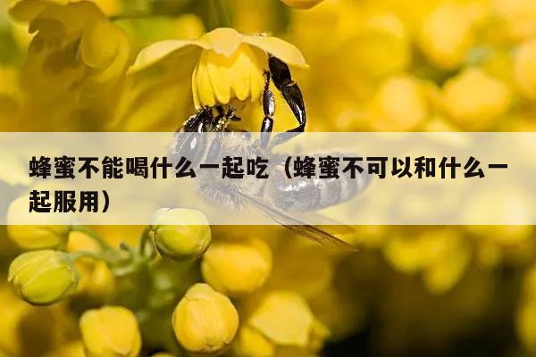 蜂蜜不能喝什么一起吃（蜂蜜不可以和什么一起服用）