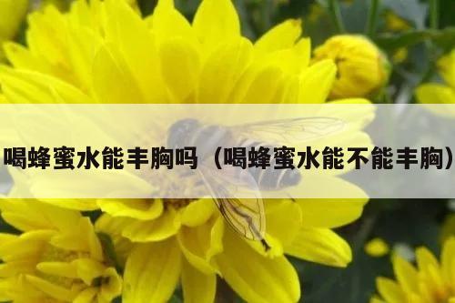 喝蜂蜜水能丰胸吗（喝蜂蜜水能不能丰胸）