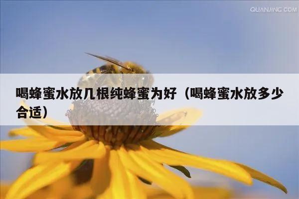 喝蜂蜜水放几根纯蜂蜜为好（喝蜂蜜水放多少合适）