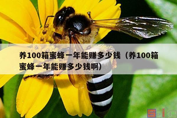 养100箱蜜蜂一年能赚多少钱（养100箱蜜蜂一年能赚多少钱啊）