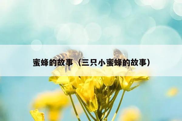 蜜蜂的故事（三只小蜜蜂的故事）