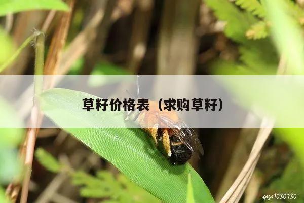 草籽价格表（求购草籽）