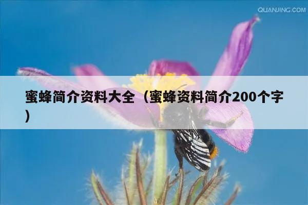 蜜蜂简介资料大全（蜜蜂资料简介200个字）