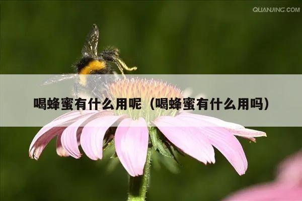 喝蜂蜜有什么用呢（喝蜂蜜有什么用吗）