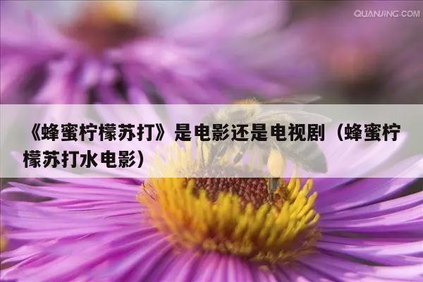 《蜂蜜柠檬苏打》是电影还是电视剧（蜂蜜柠檬苏打水电影）