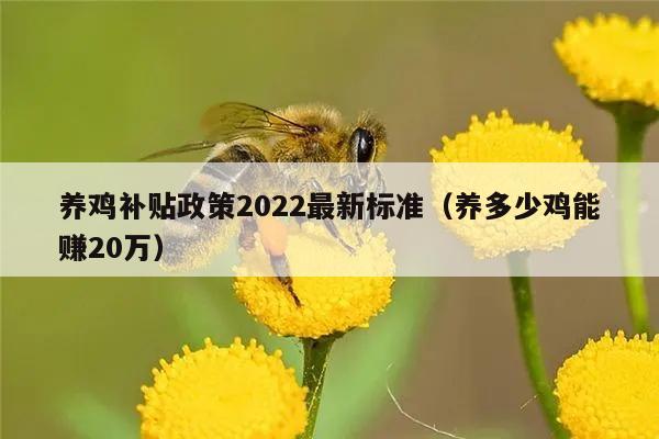 养鸡补贴政策2022最新标准（养多少鸡能赚20万）