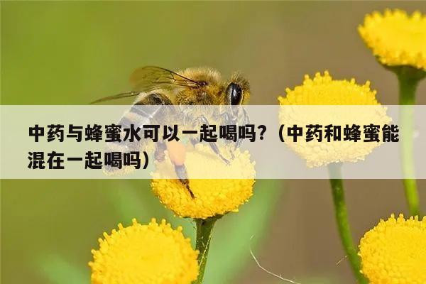 中药与蜂蜜水可以一起喝吗?（中药和蜂蜜能混在一起喝吗）