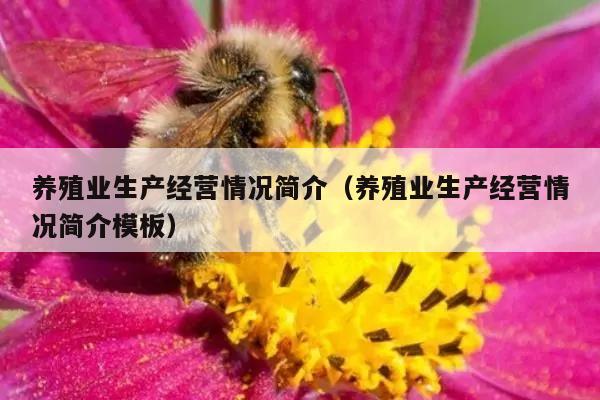 养殖业生产经营情况简介（养殖业生产经营情况简介模板）