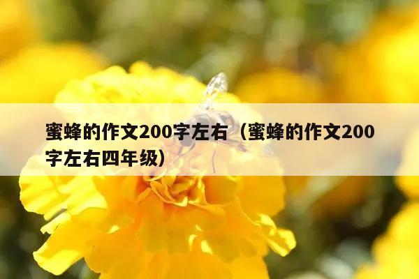 蜜蜂的作文200字左右（蜜蜂的作文200字左右四年级）