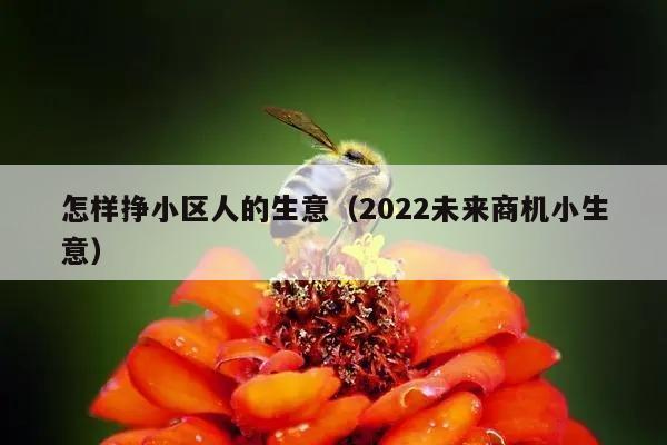 怎样挣小区人的生意（2022未来商机小生意）