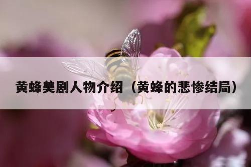 黄蜂美剧人物介绍（黄蜂的悲惨结局）