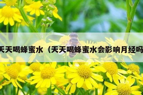 天天喝蜂蜜水（天天喝蜂蜜水会影响月经吗）