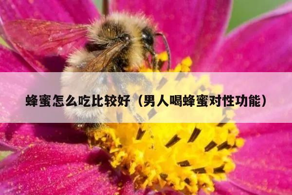 蜂蜜怎么吃比较好（男人喝蜂蜜对性功能）