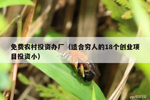 免费农村投资办厂（适合穷人的18个创业项目投资小）