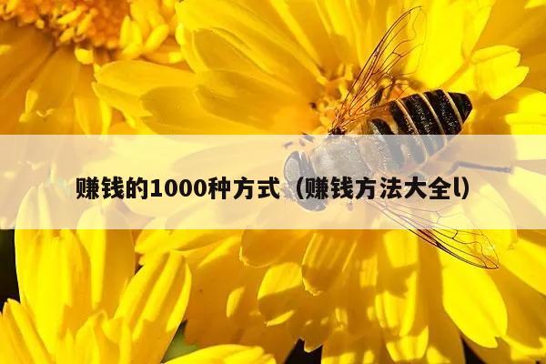 赚钱的1000种方式（赚钱方法大全l）