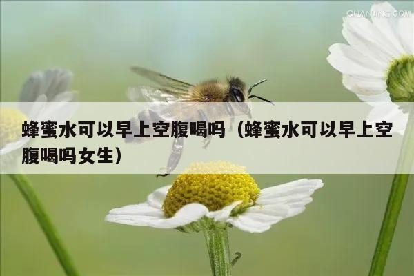 蜂蜜水可以早上空腹喝吗（蜂蜜水可以早上空腹喝吗女生）