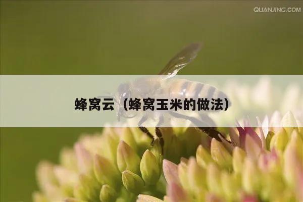 蜂窝云（蜂窝玉米的做法）