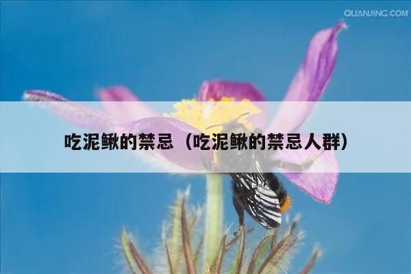 吃泥鳅的禁忌（吃泥鳅的禁忌人群）