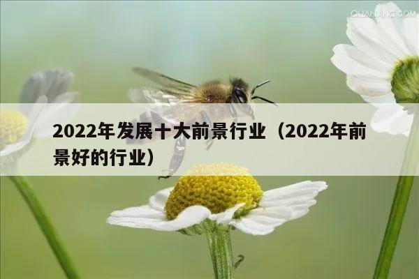 2022年发展十大前景行业（2022年前景好的行业）