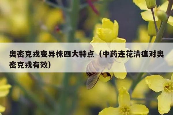 奥密克戎变异株四大特点（中药连花清瘟对奥密克戎有效）