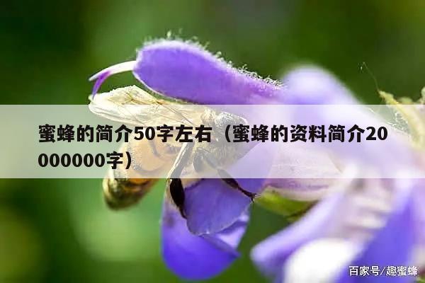 蜜蜂的简介50字左右（蜜蜂的资料简介20000000字）