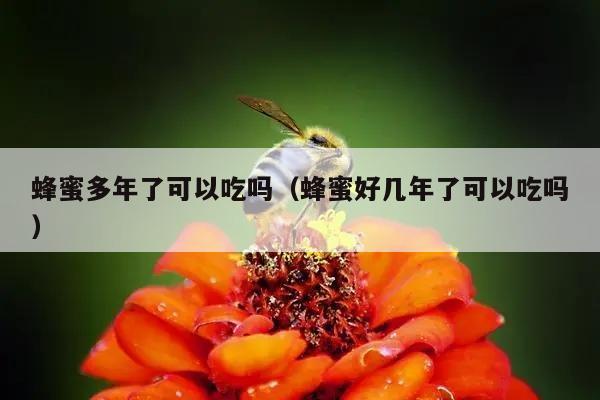 蜂蜜多年了可以吃吗（蜂蜜好几年了可以吃吗）