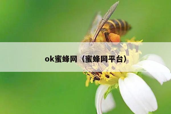 ok蜜蜂网（蜜蜂网平台）