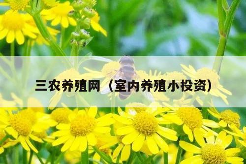 三农养殖网（室内养殖小投资）