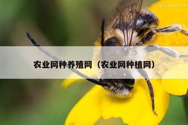 农业网种养殖网（农业网种植网）