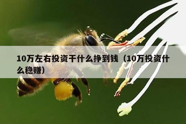 10万左右投资干什么挣到钱（10万投资什么稳赚）