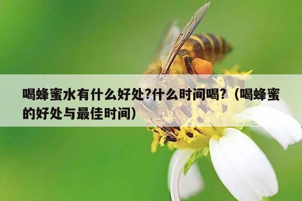 喝蜂蜜水有什么好处?什么时间喝?（喝蜂蜜的好处与最佳时间）