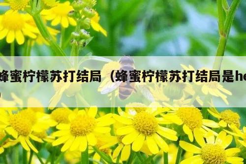 蜂蜜柠檬苏打结局（蜂蜜柠檬苏打结局是he）