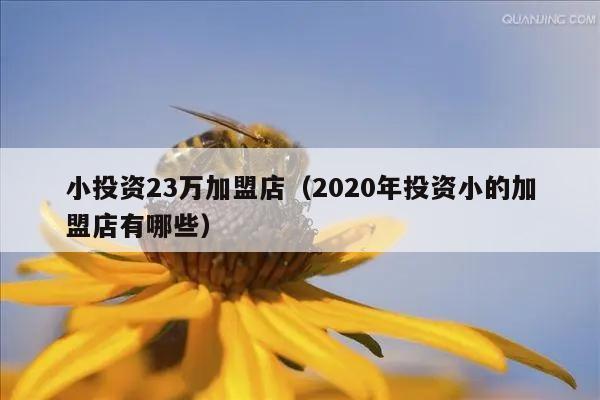 小投资23万加盟店（2020年投资小的加盟店有哪些）