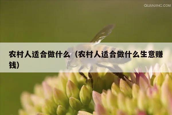 农村人适合做什么（农村人适合做什么生意赚钱）